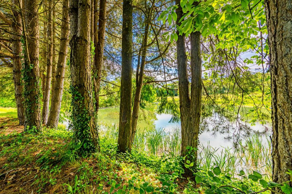 GreenGo location vacances écoresponsables