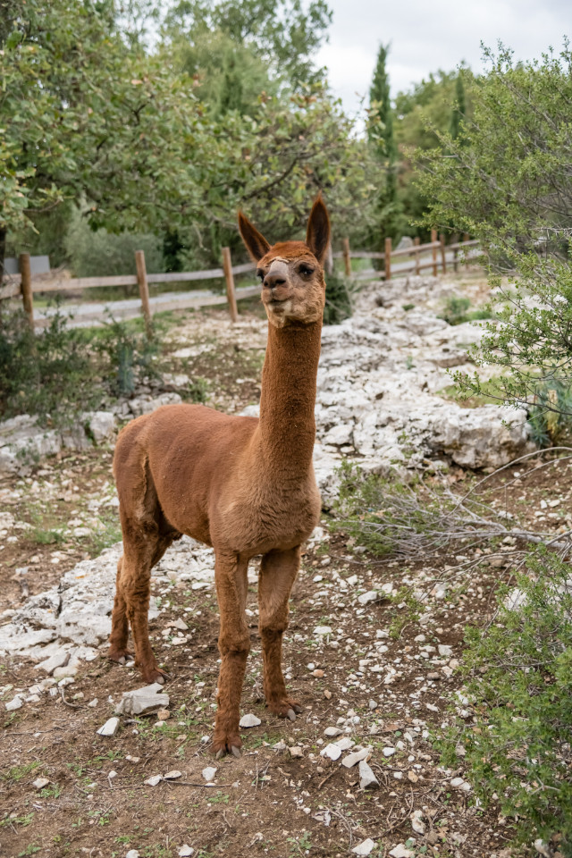 Location Ardèche Glamping