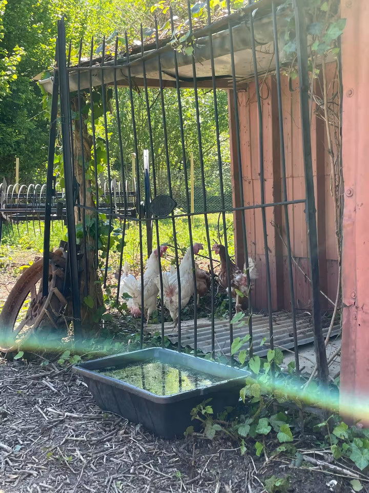Logement insolite Seine-et-Marne Glamping