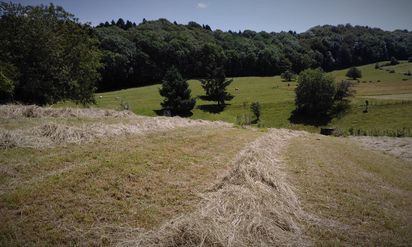 GreenGo location vacances écoresponsables