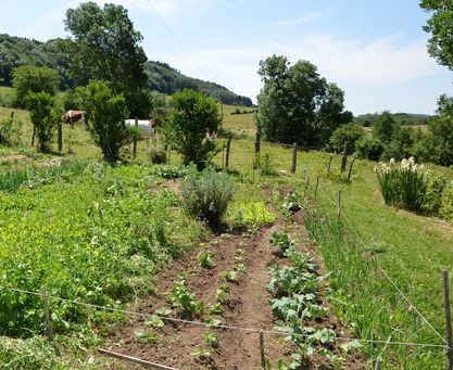 GreenGo Gîte Bourgogne-Franche-Comté Évasion