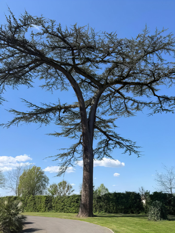 GreenGo location vacances écoresponsables