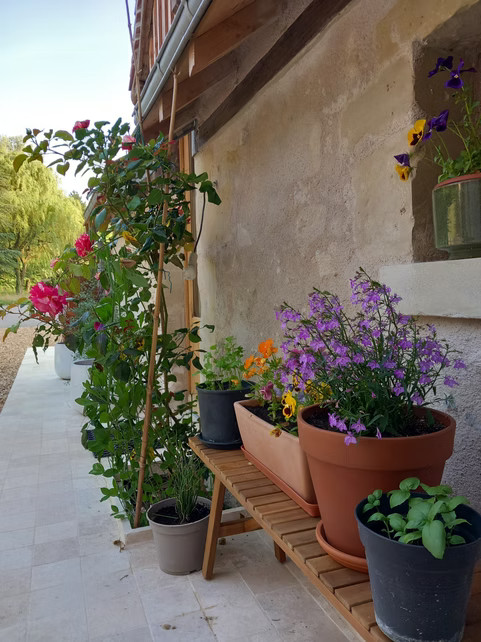 GreenGo location vacances écoresponsables