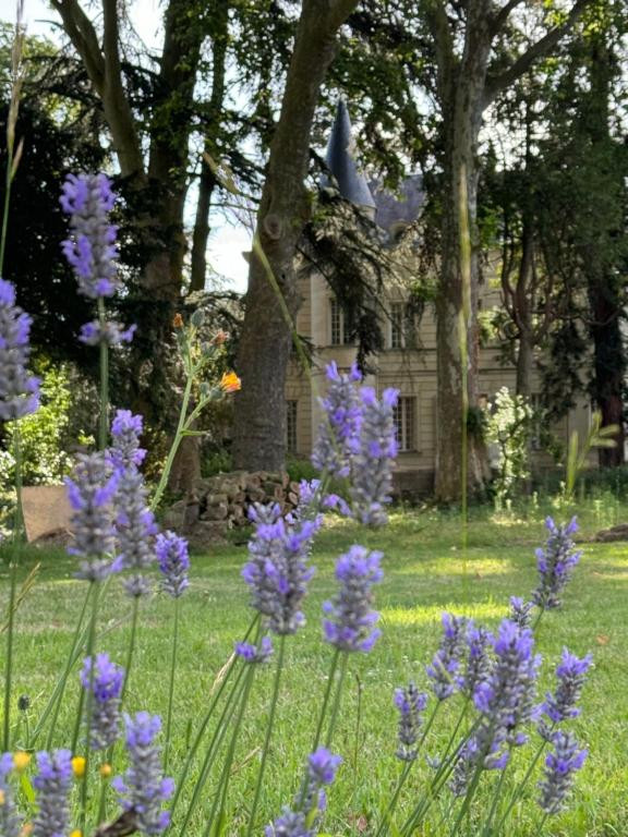 Maine-et-Loire Musique