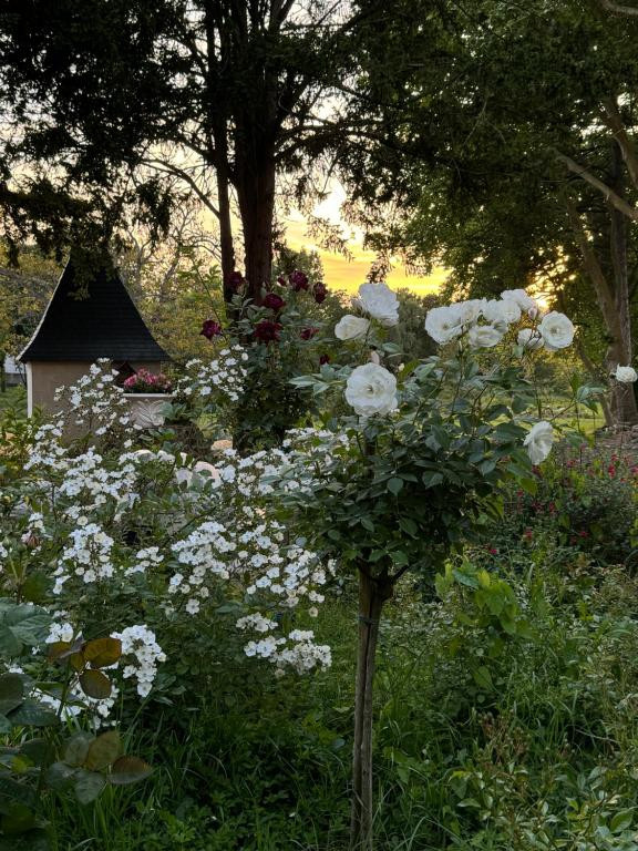GreenGo location vacances écoresponsables