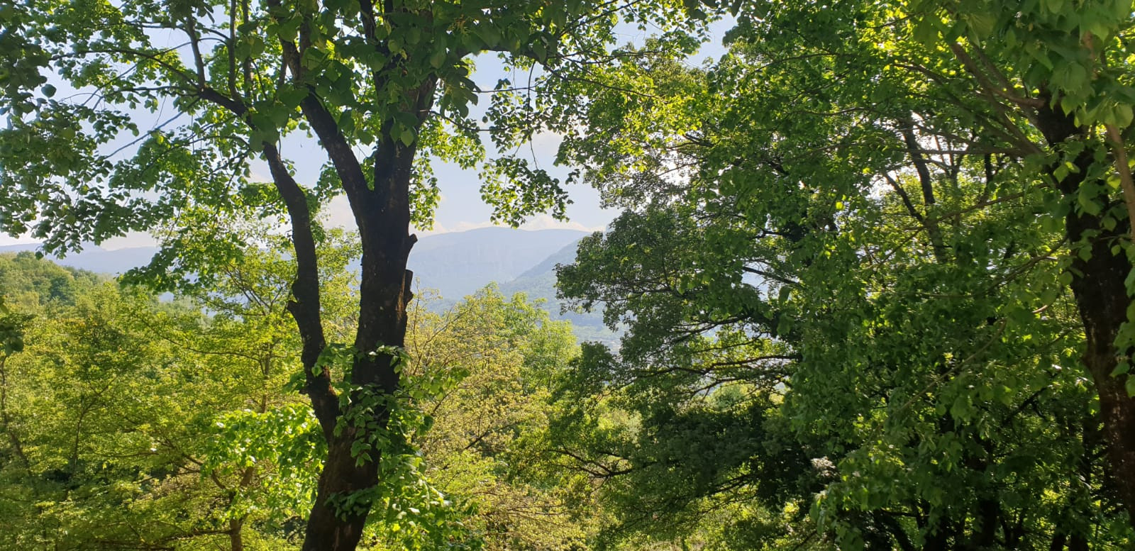 GreenGo Location Auvergne-Rhône-Alpes Évasion