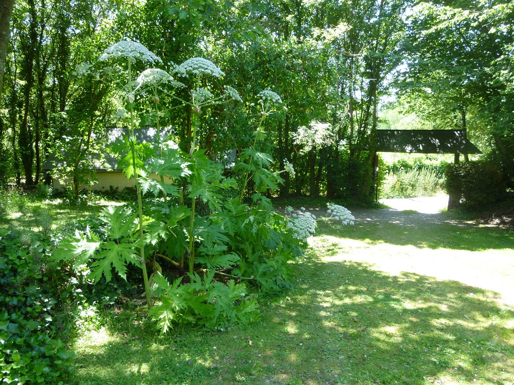 GreenGo location vacances écoresponsables