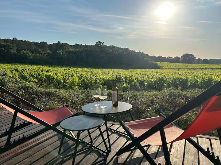 GreenGo Perdu au cœur des vignes