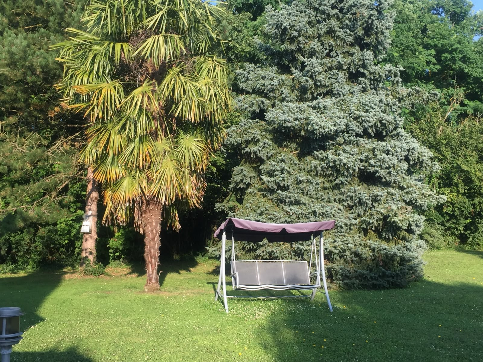  Vienne Romantique