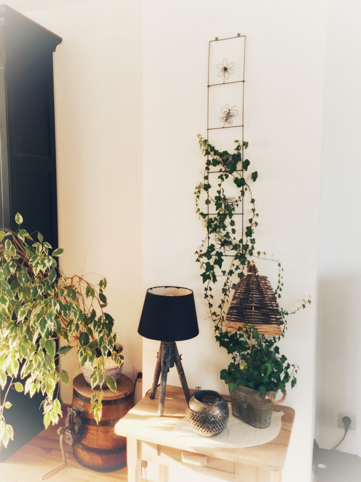GreenGo Pivoine & Colibri