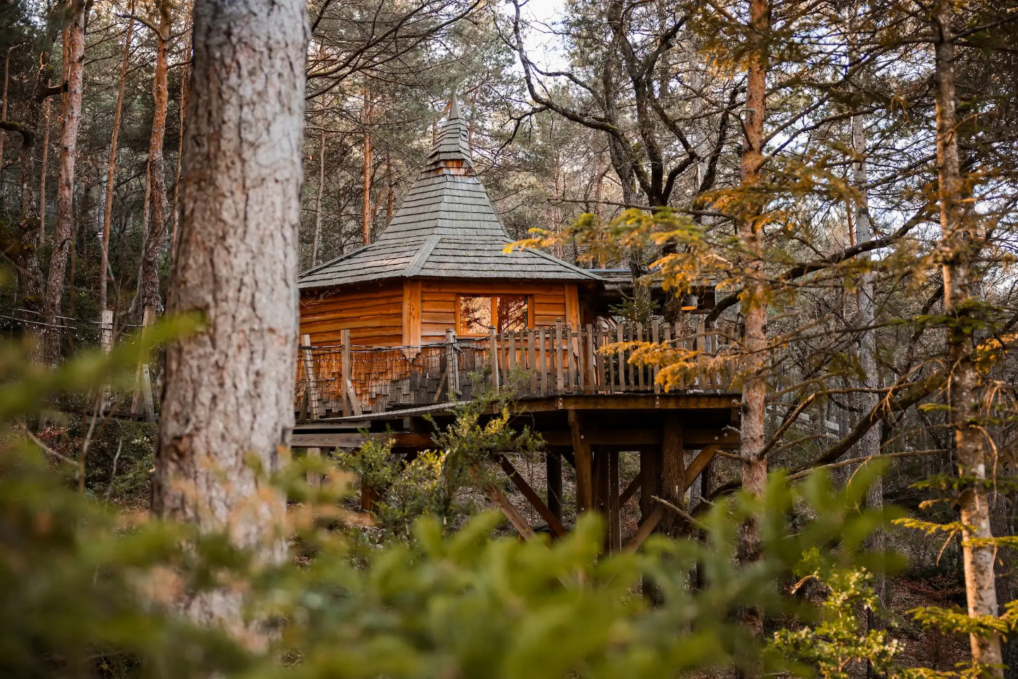 GreenGo Logement insolite Provence-Alpes-Côte d'Azur Évasion