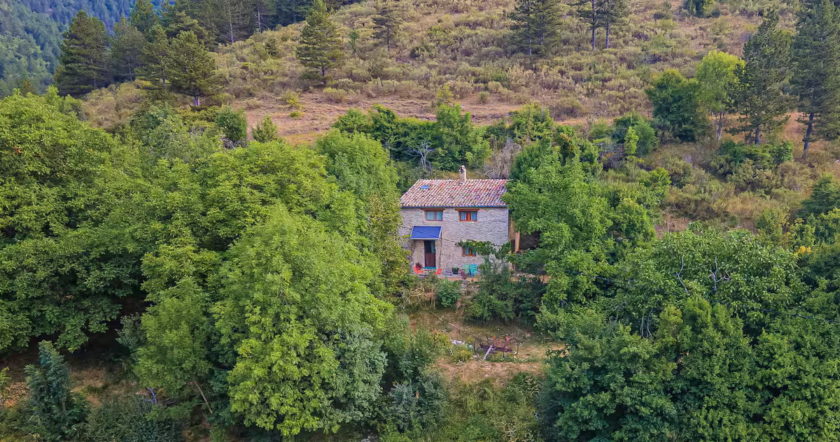 L'érable des Juges, gite isolé en pleine nature