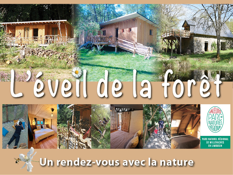 Hôte GreenGo: L'éveil de la forêt