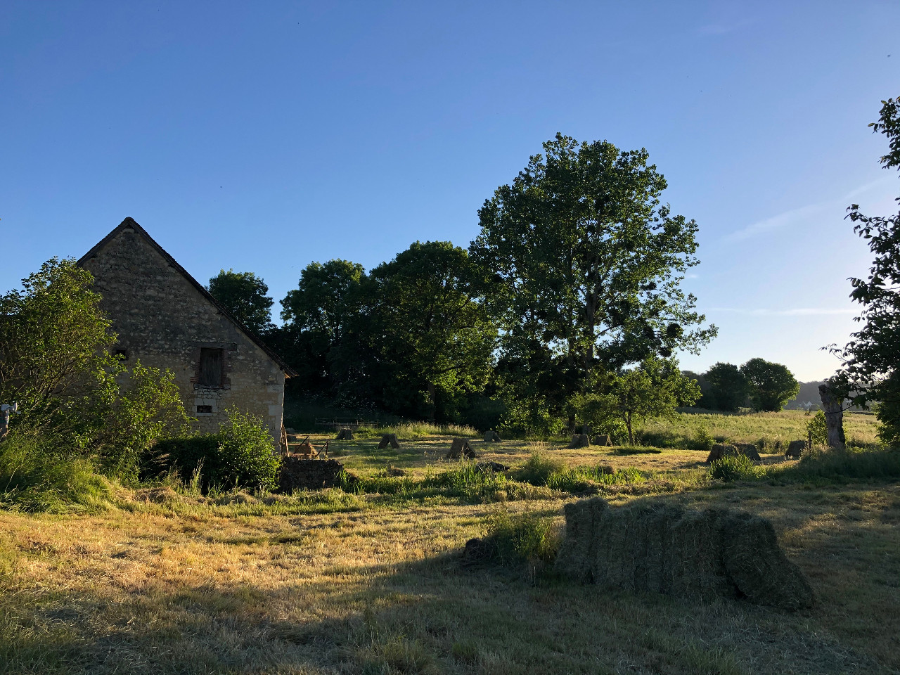  Orne En forêt