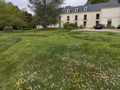 GreenGo location vacances écoresponsables