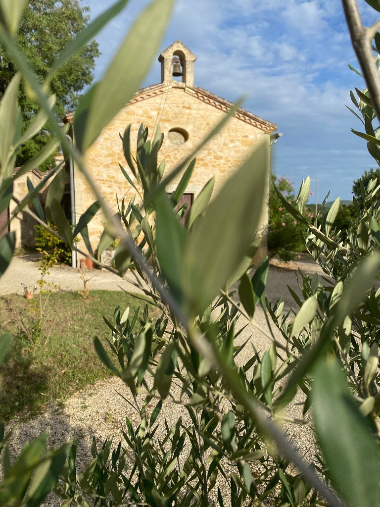 GreenGo location vacances écoresponsables