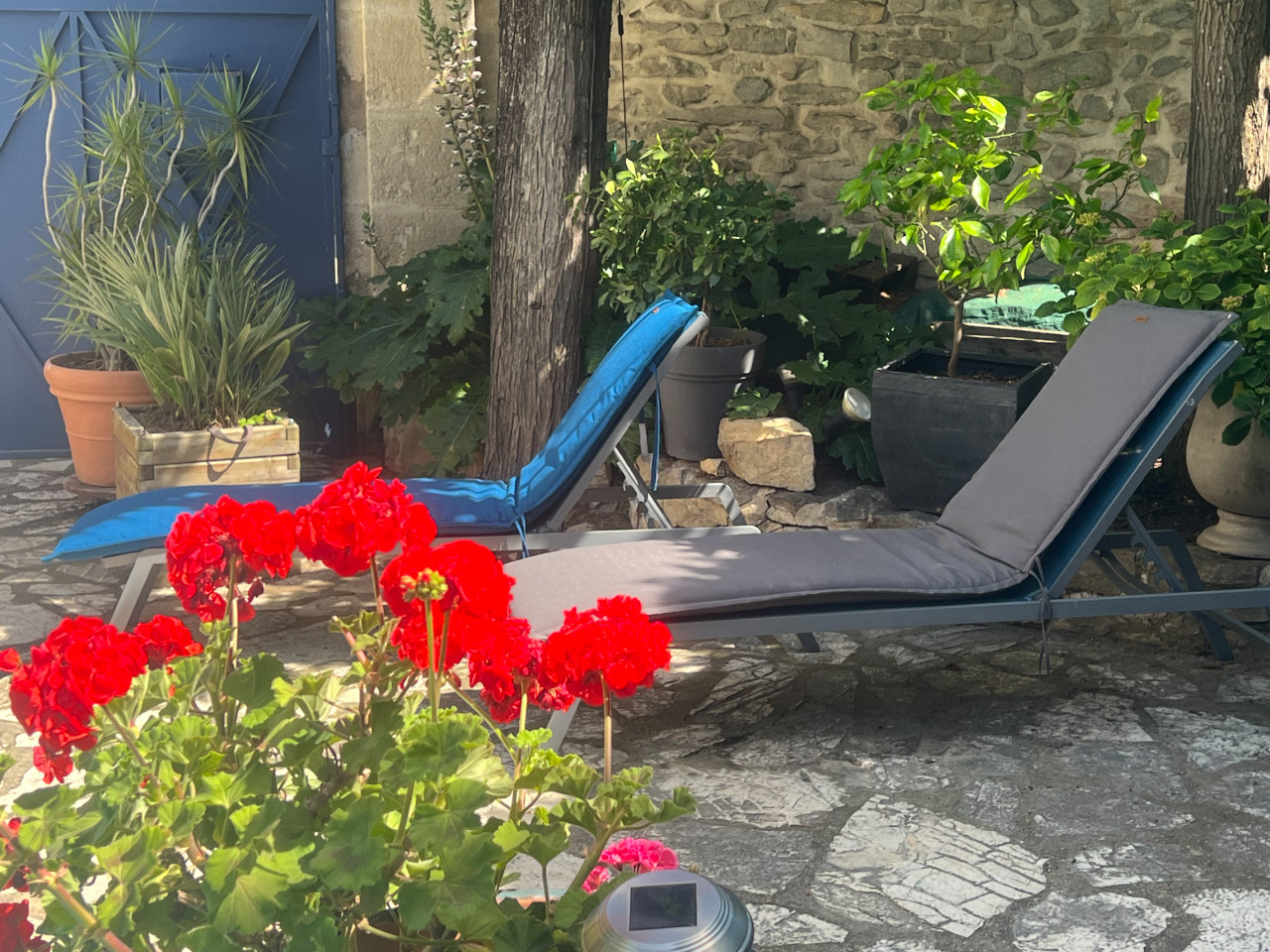 GreenGo location vacances écoresponsables