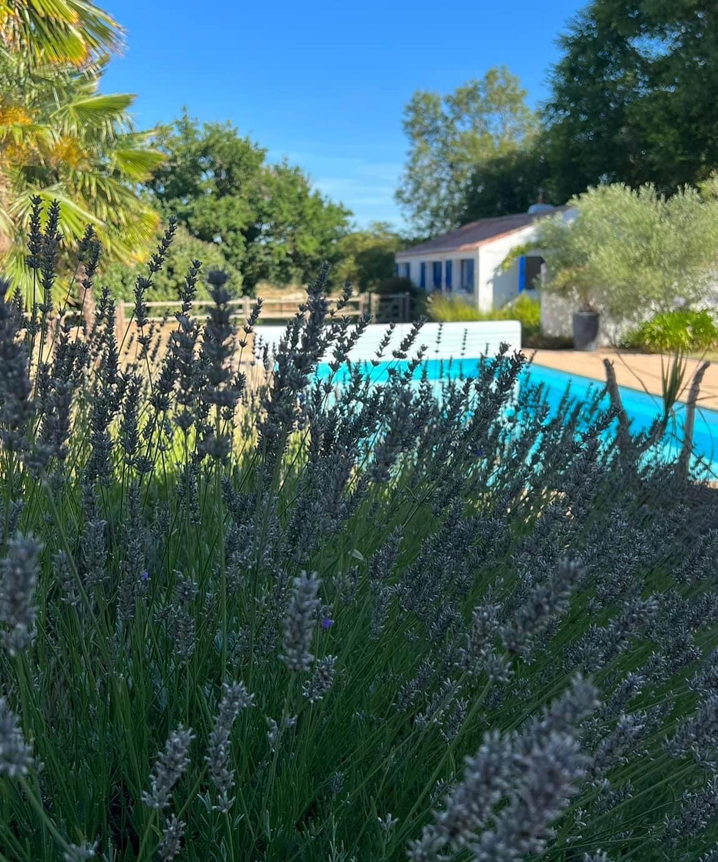 GreenGo Gîte Pays de la Loire Évasion