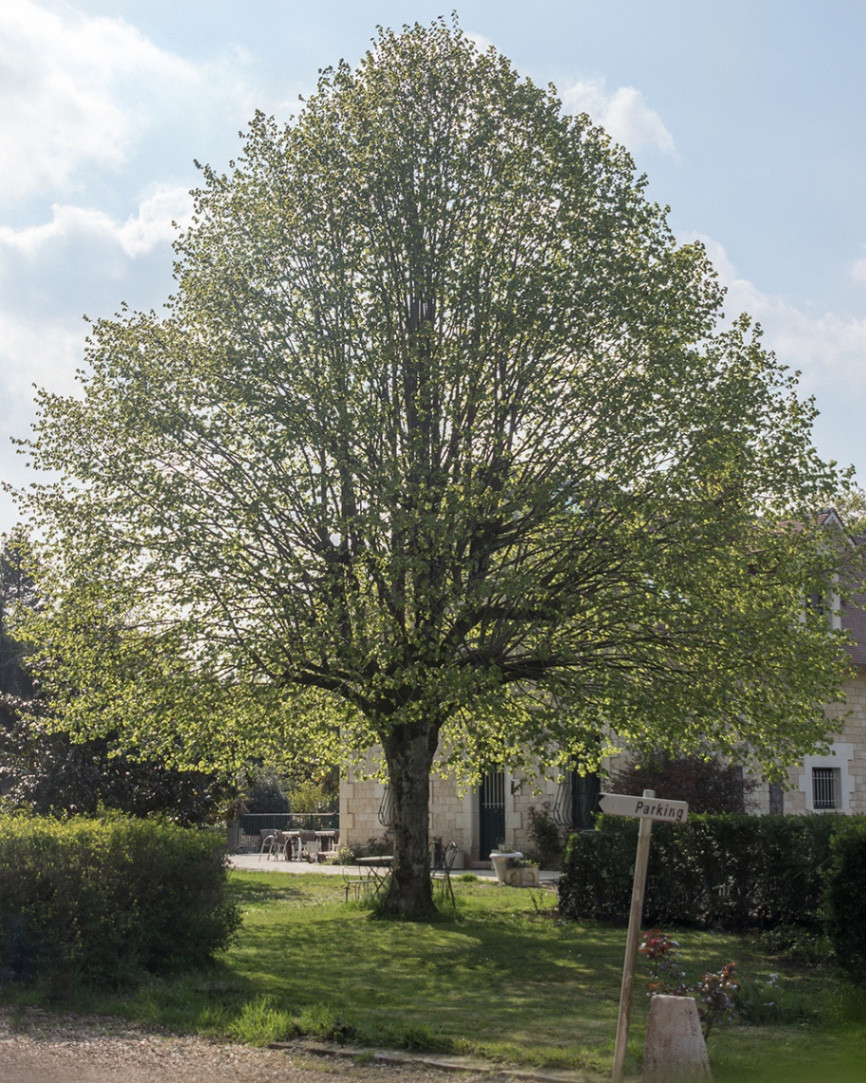 GreenGo Les Aulnaies