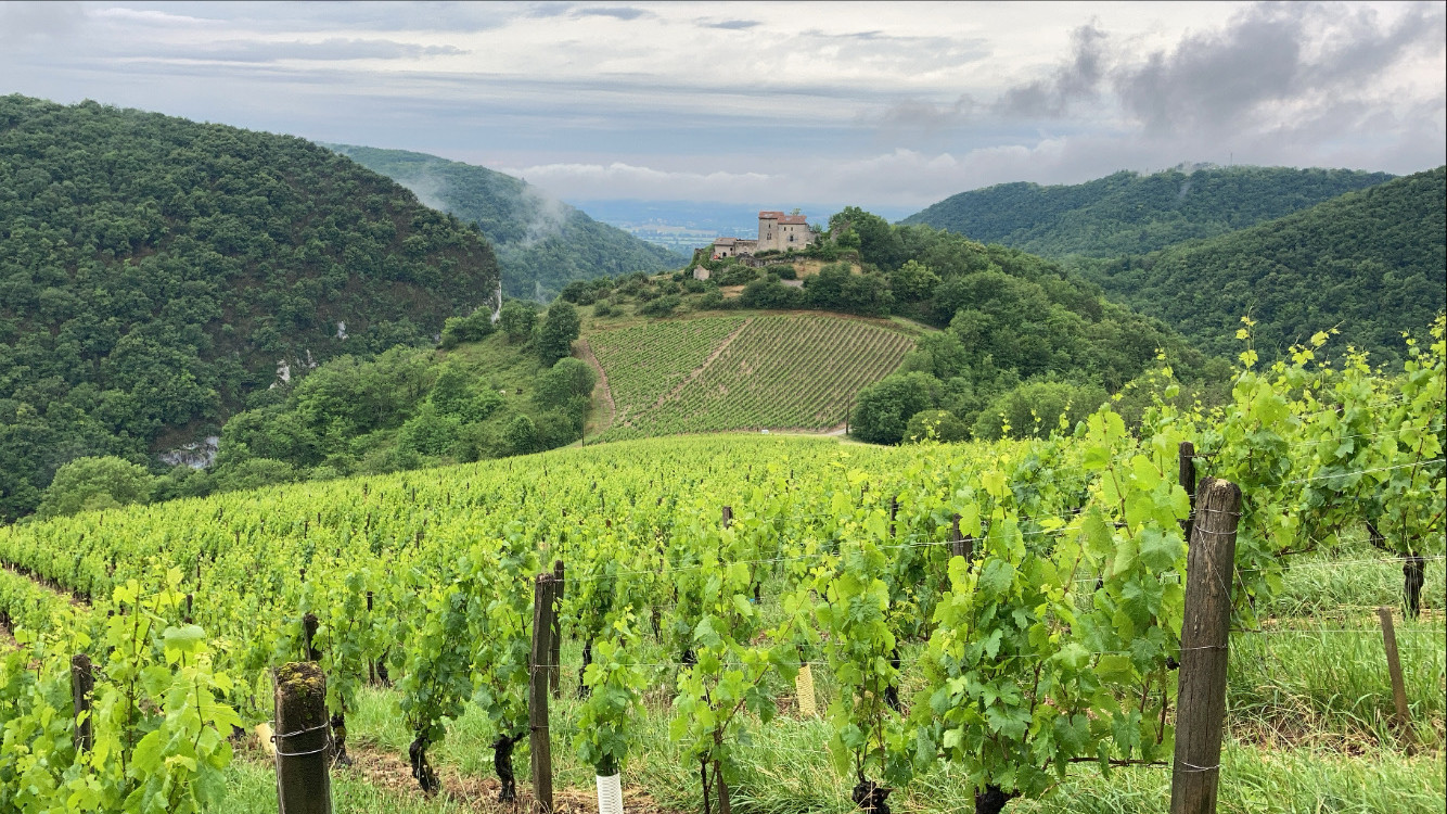 GreenGo Gîte Auvergne-Rhône-Alpes À la campagne