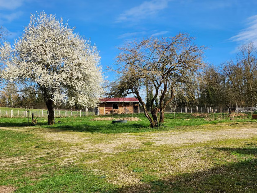 GreenGo location vacances écoresponsables