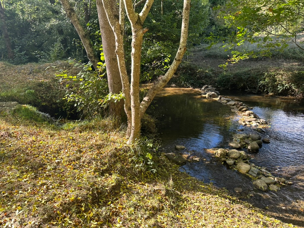 Charme, Confort, Nature et Rivière - la Funky Barn
