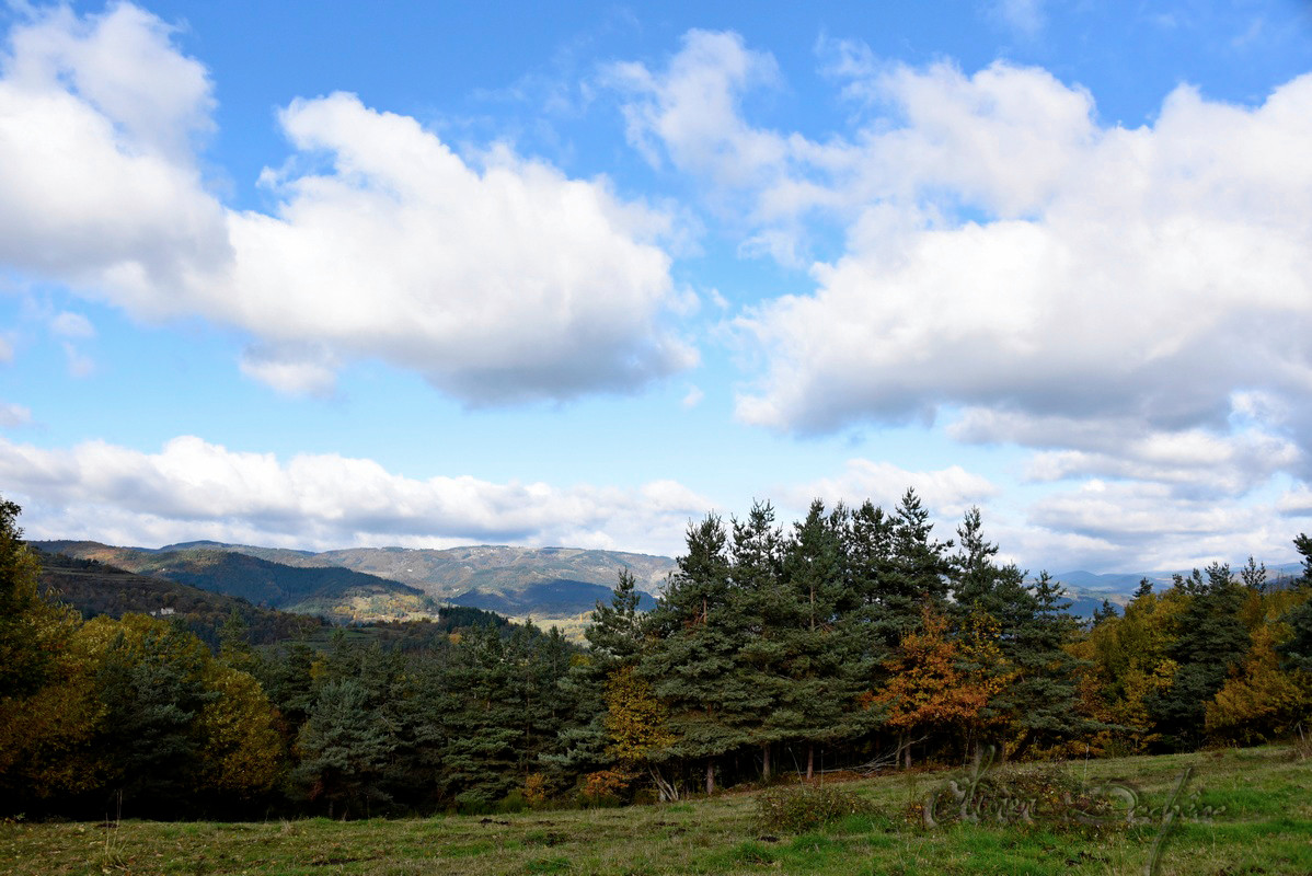 Ardèche En forêt