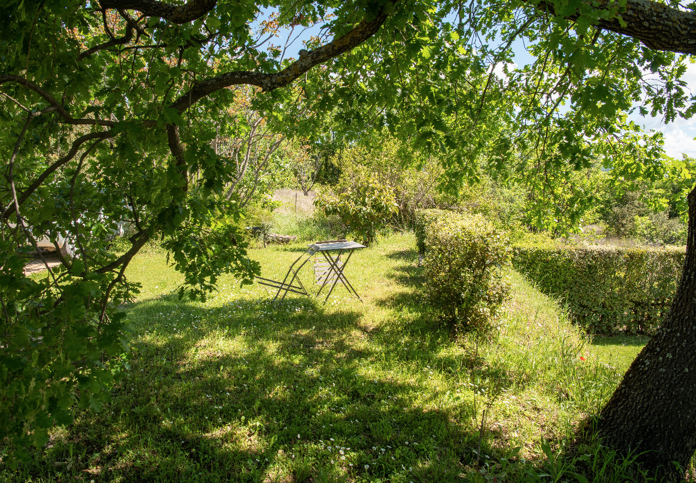 Vaucluse Sportif
