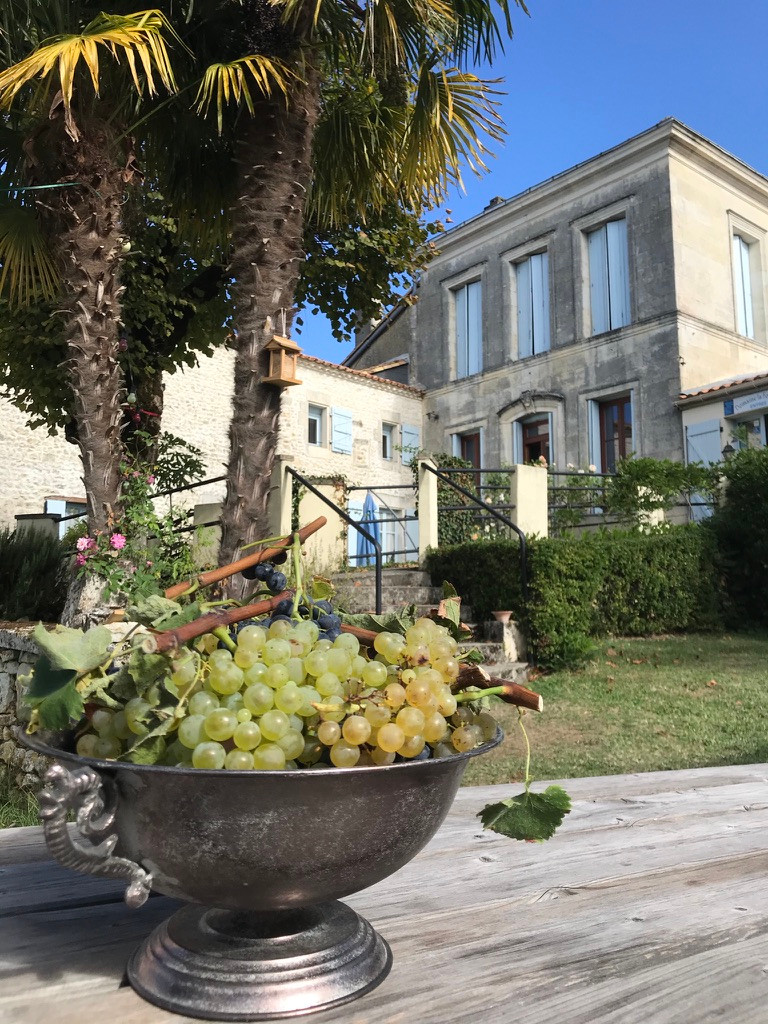 GreenGo Gîte Nouvelle-Aquitaine À la campagne