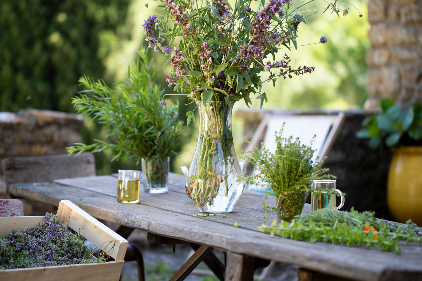GreenGo Ferme d'hôtes en plantes aromatiques et médicinales