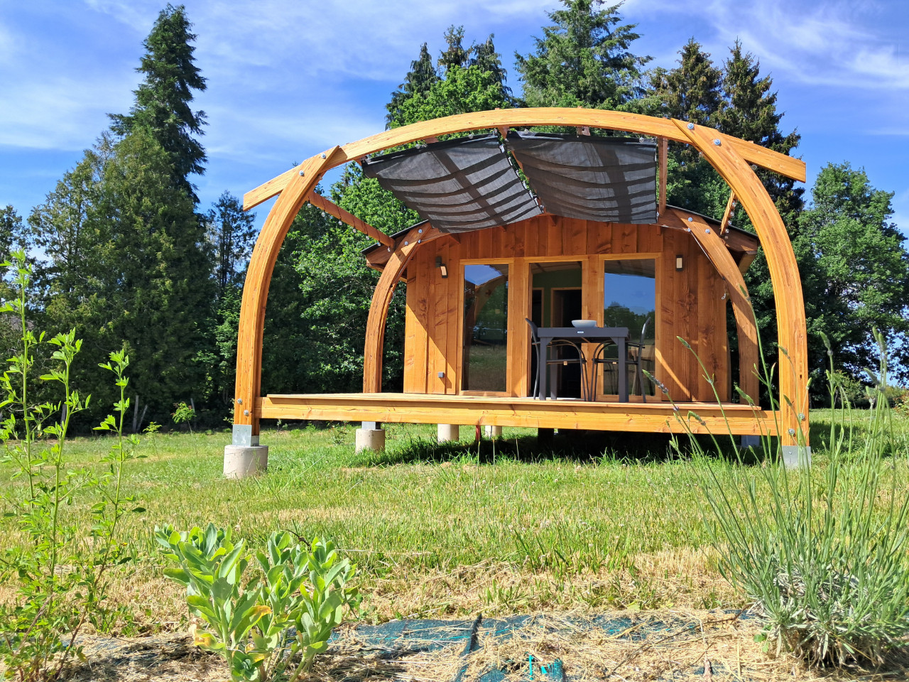 GreenGo Abeilles & Etoiles