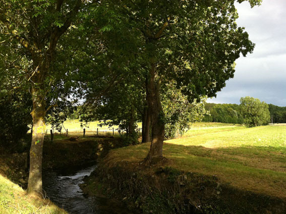 GreenGo location vacances écoresponsables