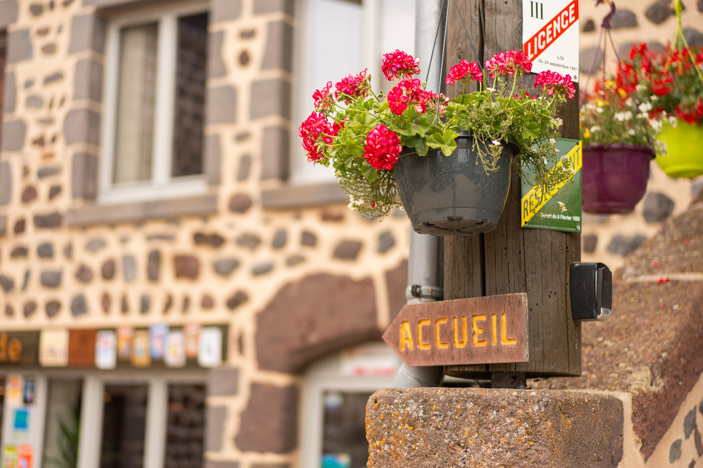 GreenGo Gîte Auvergne-Rhône-Alpes Musique