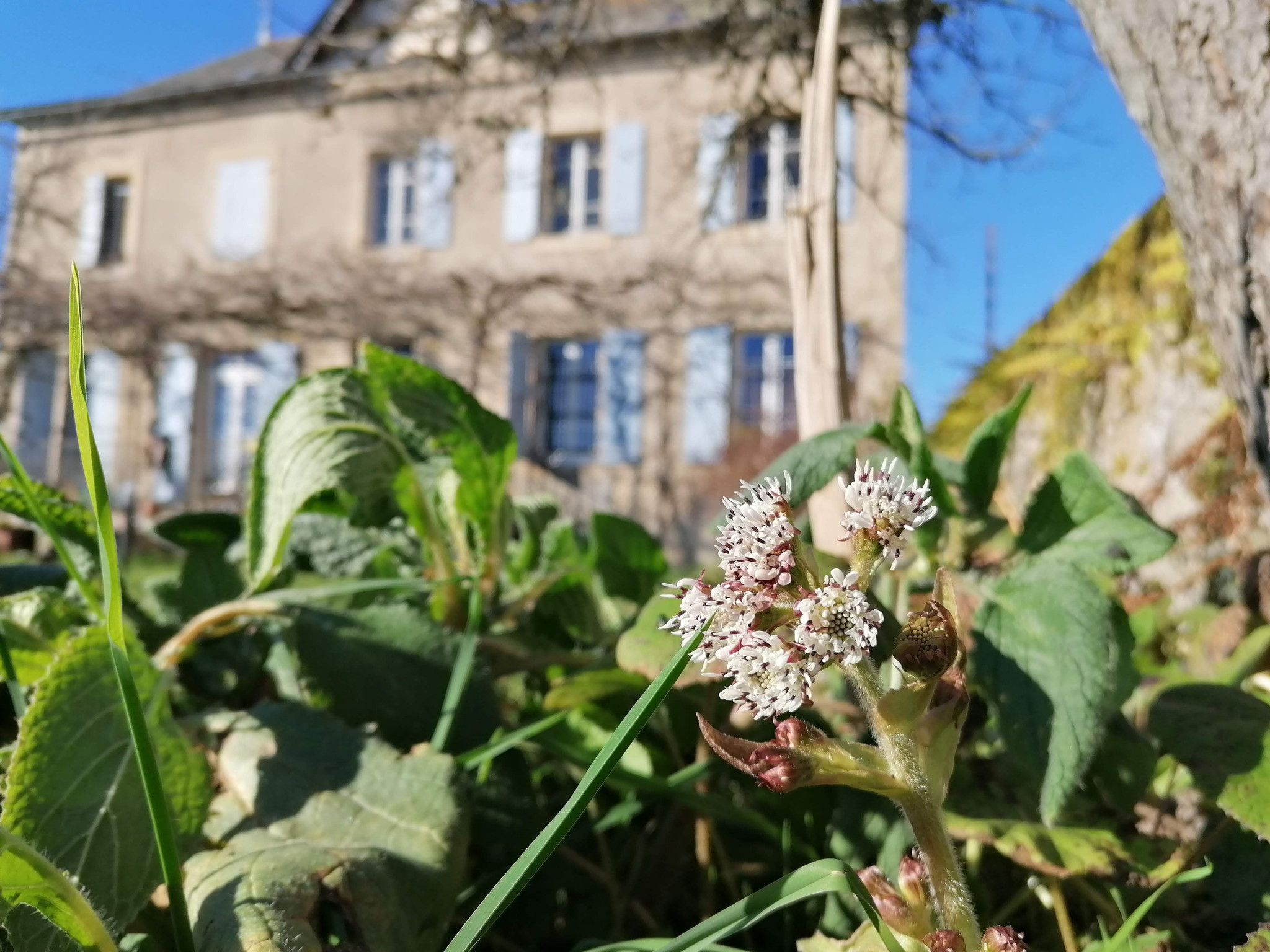 GreenGo Le Temps Serein