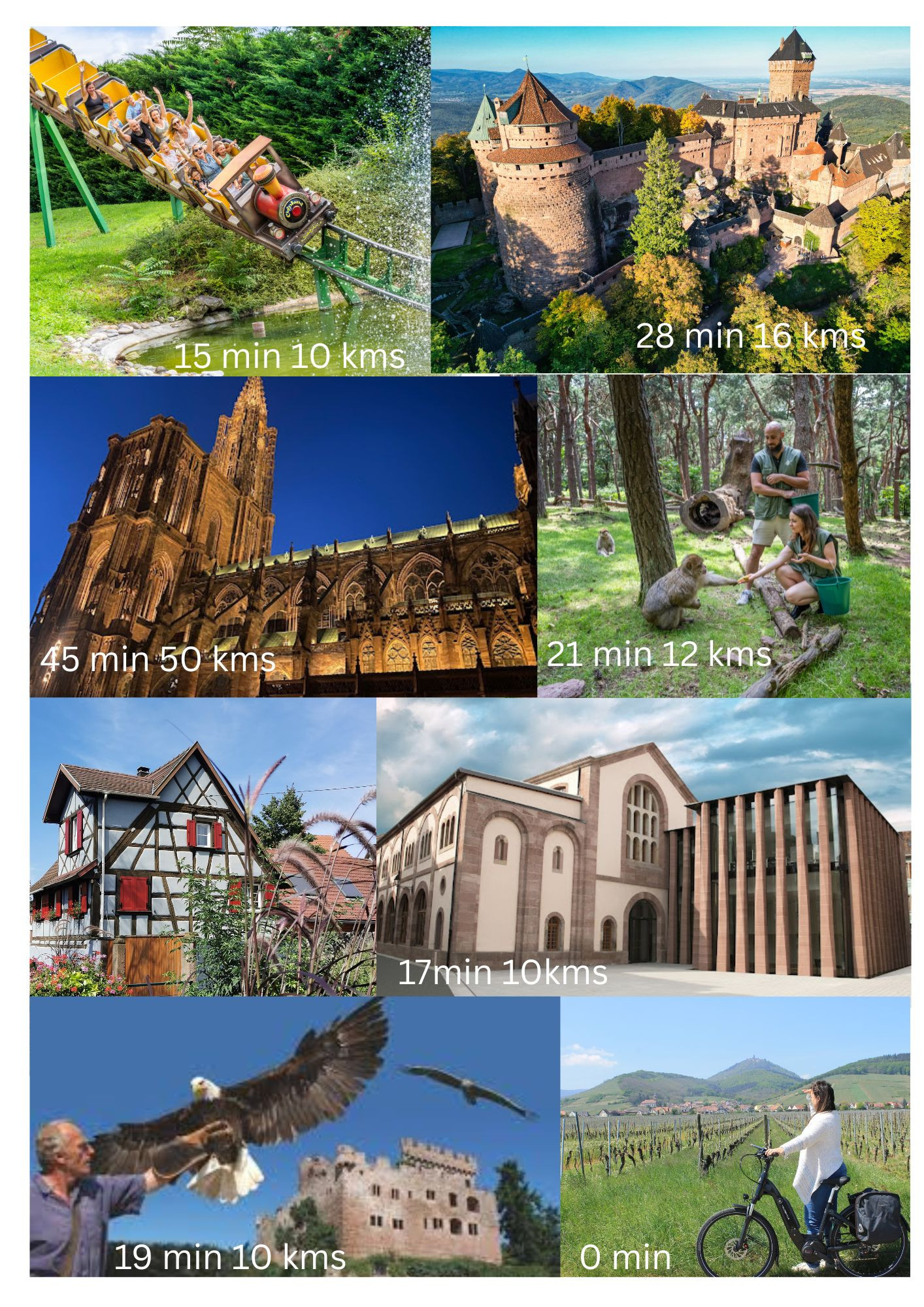 GreenGo Gîte Grand Est Évasion