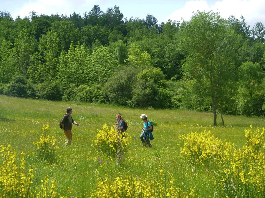 Gers À la campagne