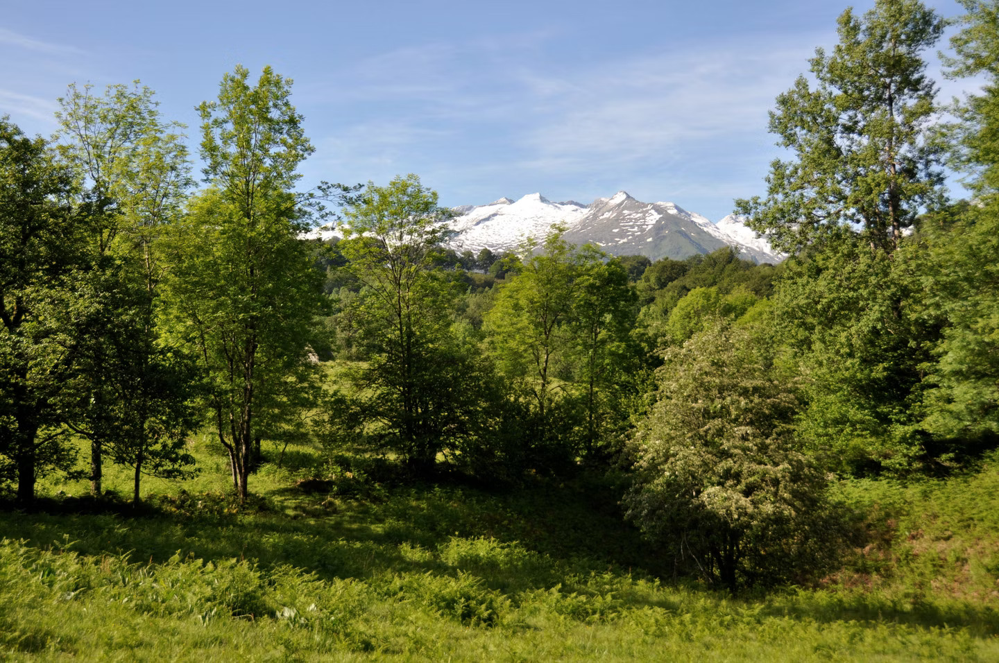 GreenGo location vacances écoresponsables