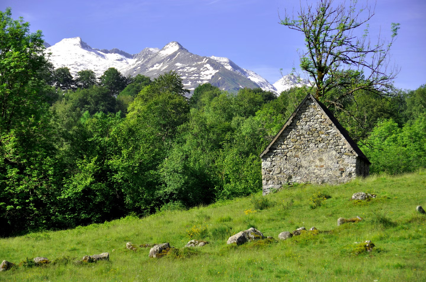 GreenGo Logement insolite Occitanie Gîte de groupe
