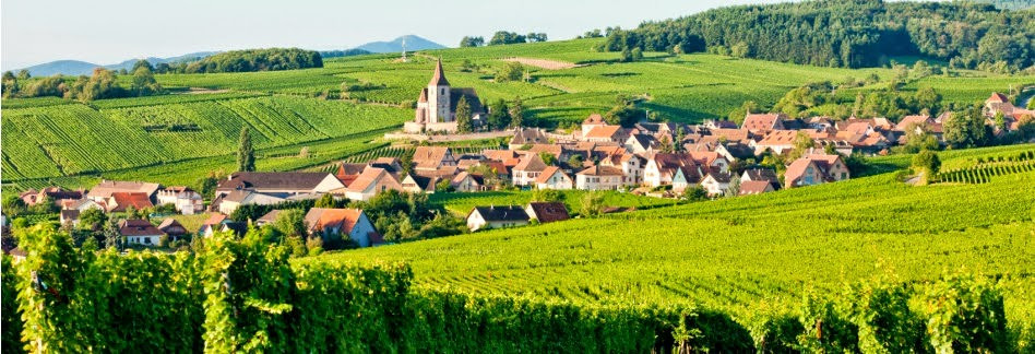  Haut-Rhin À la campagne