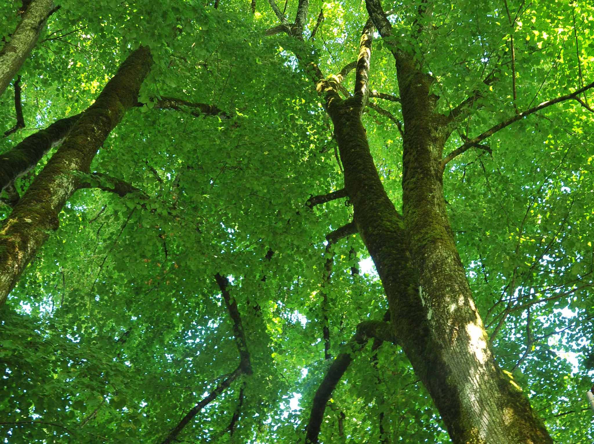 GreenGo Chambre d’hôtes Nouvelle-Aquitaine À la campagne
