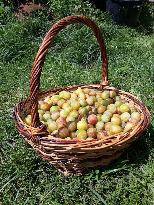GreenGo Gîte Nouvelle-Aquitaine Évasion