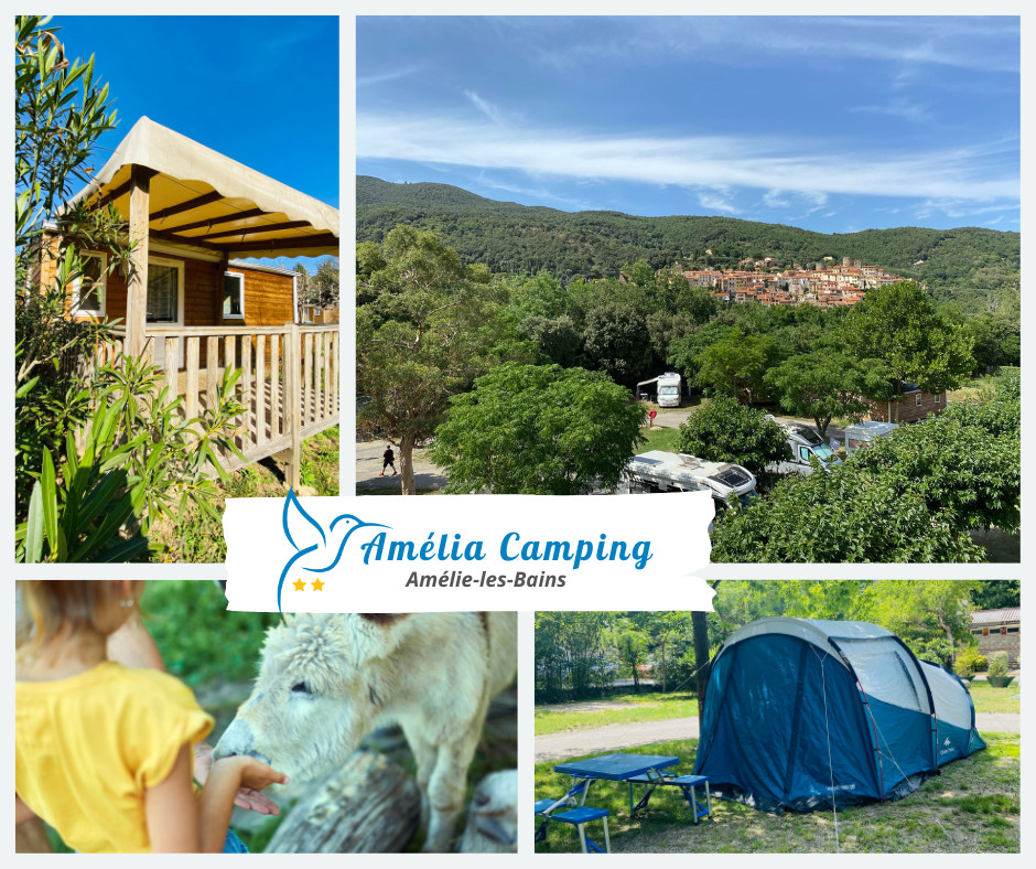 Amelia camping