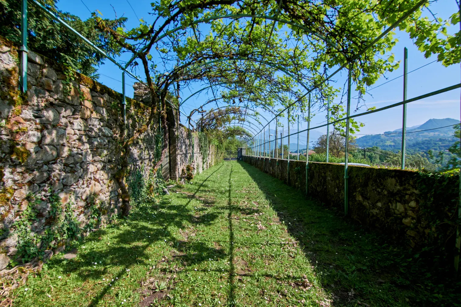 GreenGo Gîte Auvergne-Rhône-Alpes Évasion