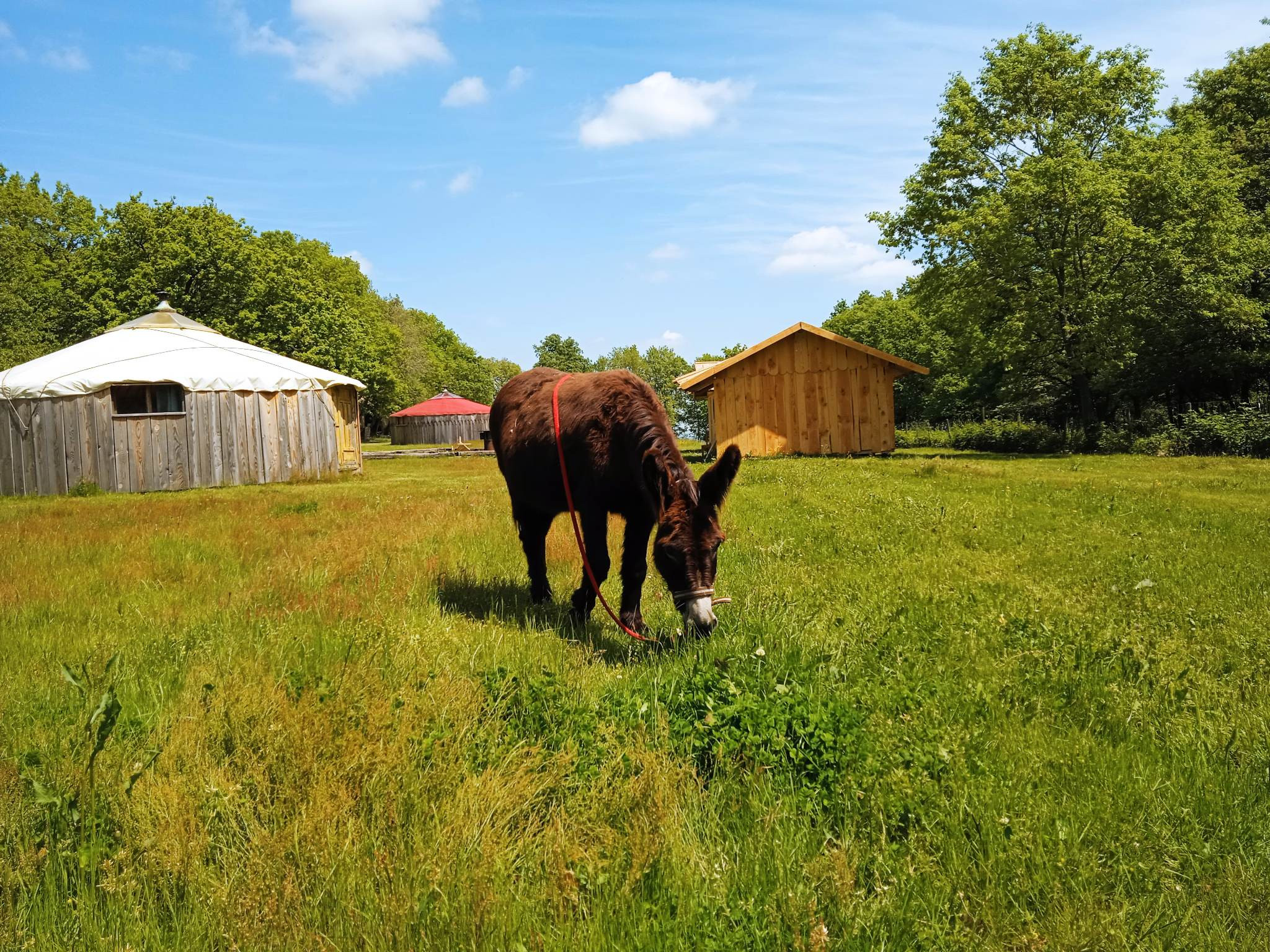 Camping Haute-Garonne Glamping