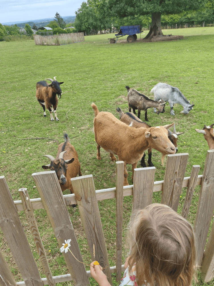 GreenGo Ecodomaine Rever ailleurs