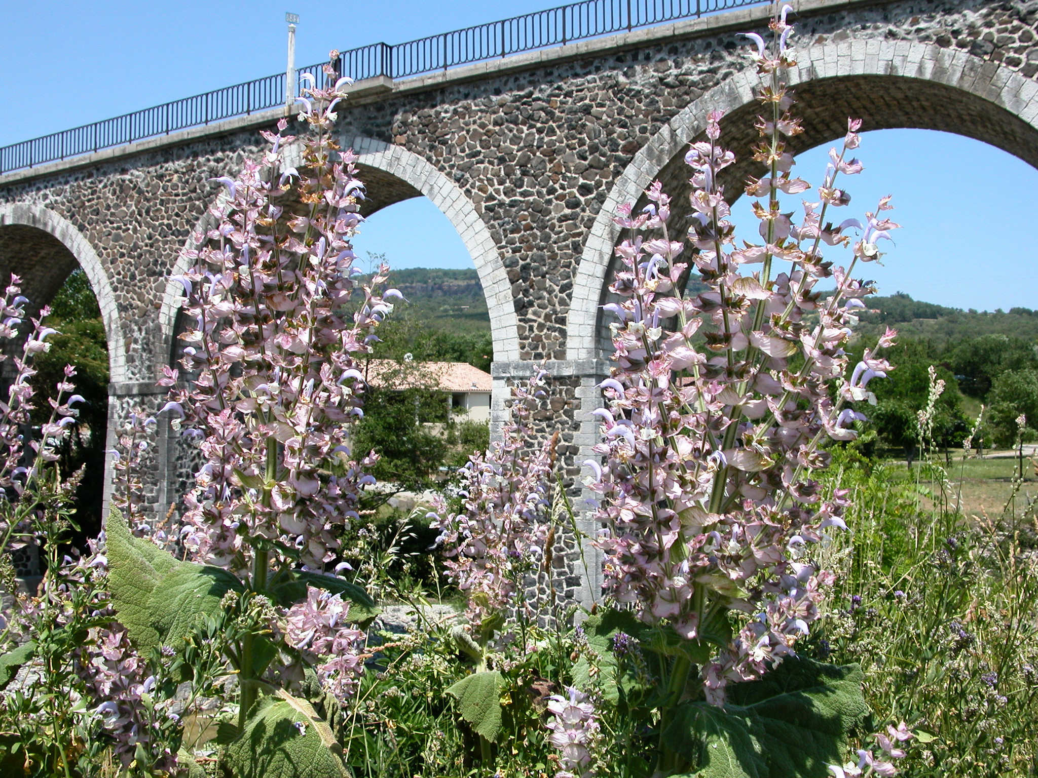 Hôte GreenGo: Camping les Arches ****