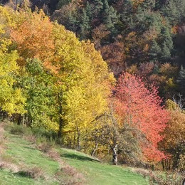 GreenGo Hameau de Magnaudes