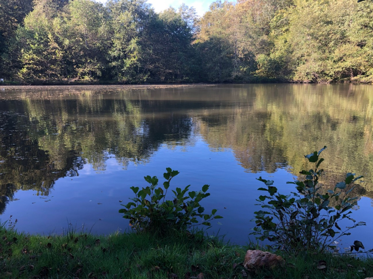 GreenGo Le Moulin du Châtain