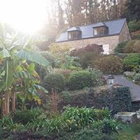 Finistère En forêt