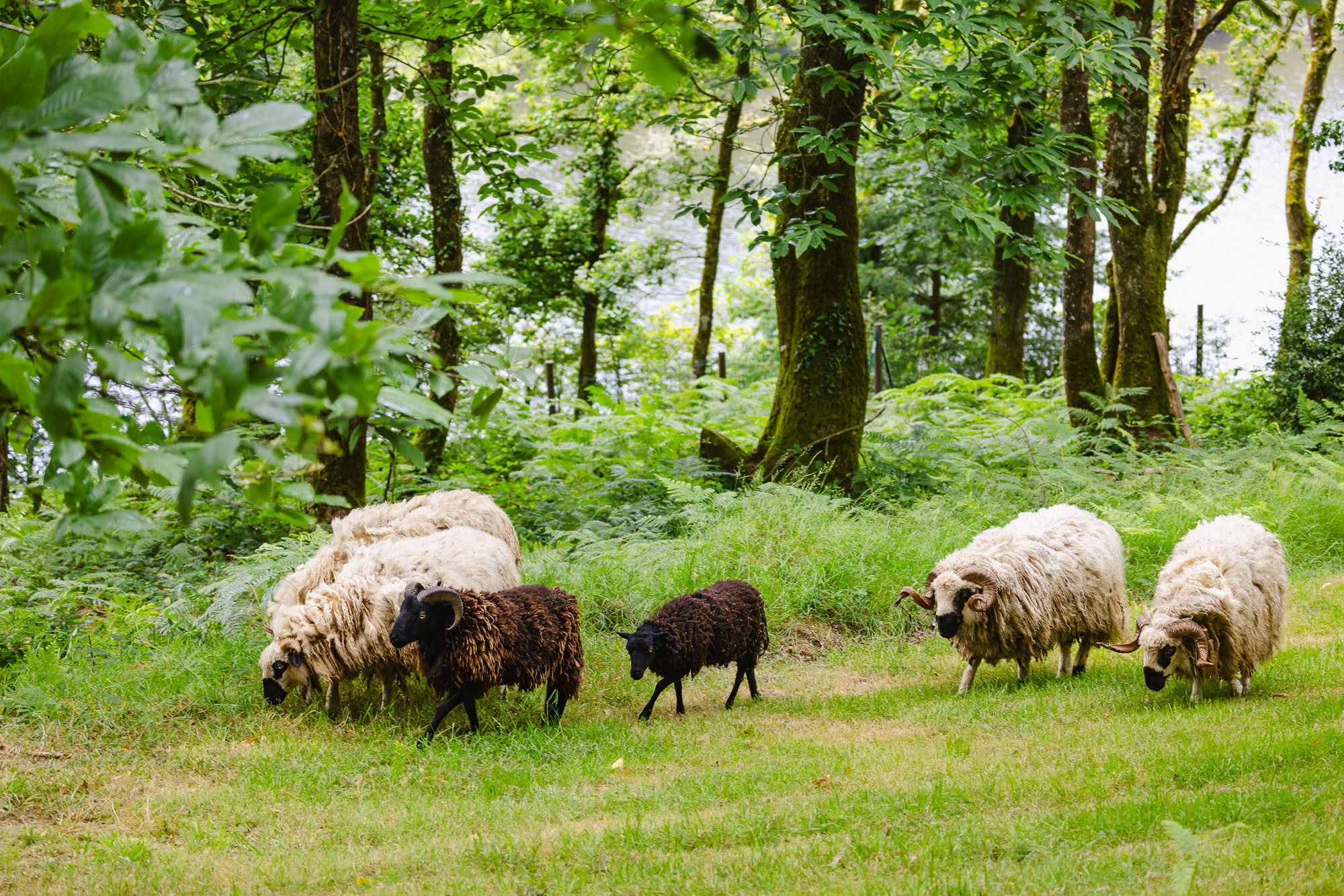 GreenGo location vacances écoresponsables